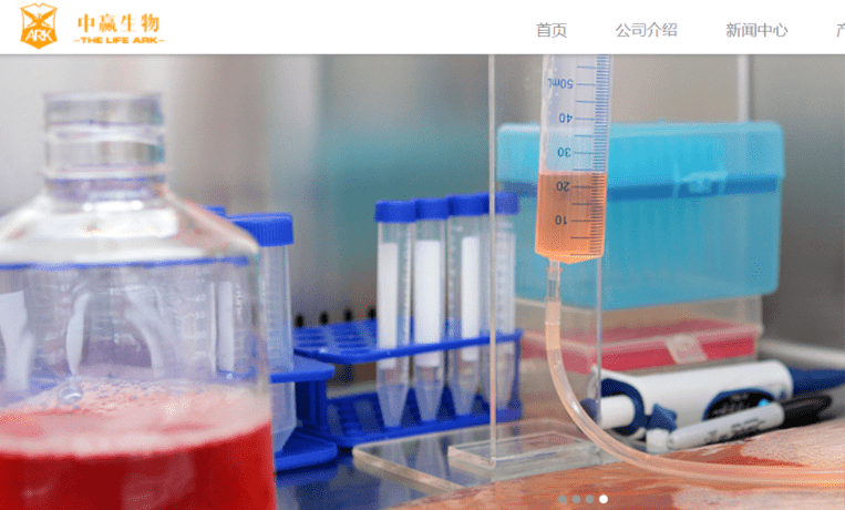 項目立項申請表定制